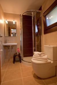 奥利奥赛格特吉艾特克夏乡村民宿的带淋浴、卫生间和盥洗盆的浴室