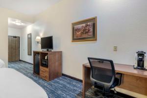 奇斯顿Comfort Inn & Suites Mt Rushmore的酒店客房配有一张床和一张书桌及一台电视