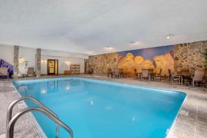 奇斯顿Comfort Inn & Suites Mt Rushmore的墙上画着画的游泳池