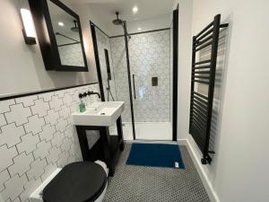 泰晤士河畔金斯顿Kingston Star的浴室配有卫生间、盥洗盆和淋浴。