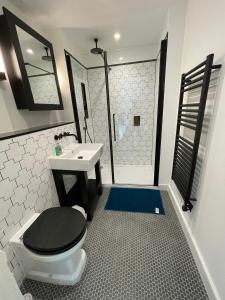 泰晤士河畔金斯顿Kingston Star的浴室配有卫生间、盥洗盆和淋浴。