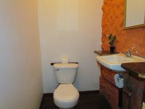 圣何塞沙克蒂旅馆的一间带卫生间和水槽的浴室