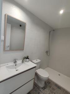 法鲁Divine Room的一间带卫生间、水槽和镜子的浴室