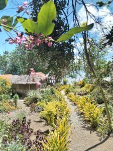 维拉港Vatupau Beachfront Bungalows的种有植物的花园,后方的房子