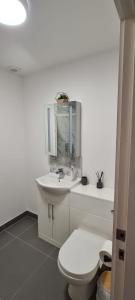 利克Town Centre Apartment的白色的浴室设有卫生间和水槽。