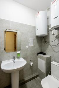 比什凯克Bodo Hostel的一间带水槽和卫生间的浴室