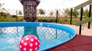 Tomajmonostora托玛杰公寓的游泳池里的红白波尔卡圆球