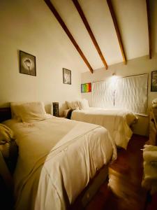 巴拉斯港Habitación en Casa Cumbres del Lago的一间卧室,配有两张床