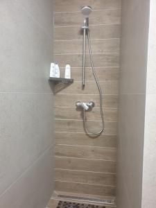 帕利克Guest House Vila Lujza的浴室内配有淋浴和头顶淋浴