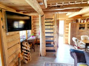 SeltenheimExperience this unique wooden house!的小木屋设有楼梯和客房内的电视