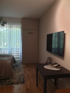 帕利克Guest House Vila Lujza的卧室配有一张床,墙上配有电视