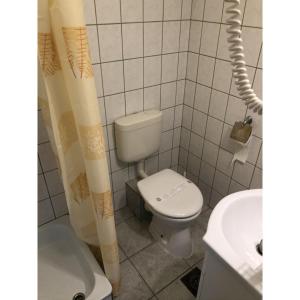 福纽德Hotel Balaton Fonyód的浴室设有卫生间、水槽和淋浴帘