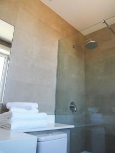 格罗韦HOTEL BOUTIQUE VILAVELLA的带淋浴和卫生间的浴室