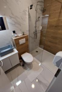 萨格勒布A8 b&b的带淋浴和卫生间的白色浴室
