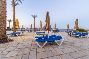 沙姆沙伊赫The Sharm Plaza的海滩上的一组躺椅和遮阳伞