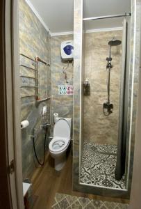 乌斯季卡缅诺戈尔斯克Hostel 5 Сapsule - rooms的浴室配有卫生间和带淋浴的淋浴。