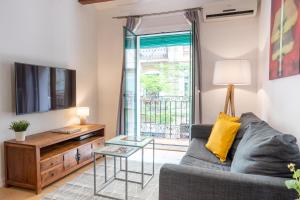 巴塞罗那温馨之家中心公寓酒店的带沙发和电视的客厅