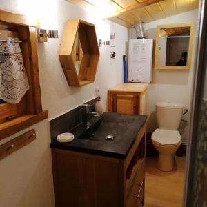 夏蒙尼-勃朗峰Mazot le Petit Drus的一间带水槽和卫生间的小浴室