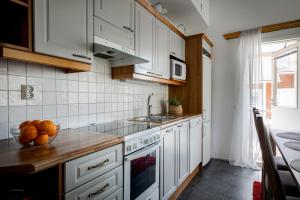 列维Levillas Alppitähti Levi , Tähtitie 4 A 4的厨房配有白色橱柜和水槽