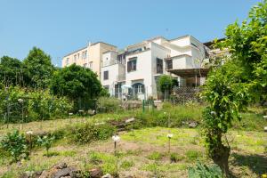 伊斯基亚Villa dei Sogni - Aparthotel Ischia Ponte的前面有花园的房子