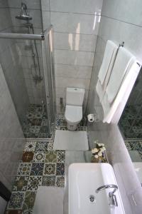 伊斯坦布尔Hotel Taksim Home的浴室配有卫生间、盥洗盆和淋浴。