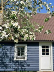 KelmėLovely Tiny House的白色的房屋,有一扇白色的门和一棵开花的树