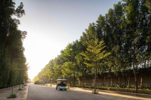 甘德希罕坎德拉丽筠酒店的一辆树木繁茂的街道上行驶的汽车