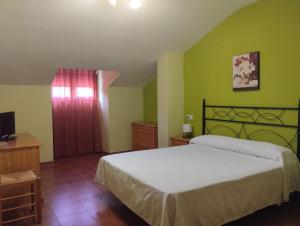 米兰达德尔卡斯塔尼亚尔Hotel Condado de Miranda的一间卧室配有一张大床和电视