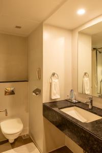 孟买Hotel Kohinoor Elite near BKC的一间带水槽、卫生间和镜子的浴室