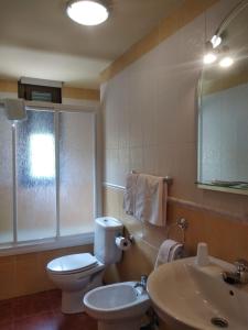 米兰达德尔卡斯塔尼亚尔Hotel Condado de Miranda的一间带卫生间、水槽和镜子的浴室