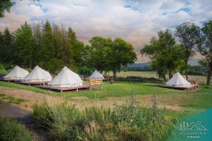 耶莱尼亚古拉Glamping Komarno的一群帐篷位于湖边的田野