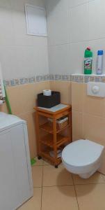 利普托斯基米库拉斯利普托公寓的一间带卫生间和水槽的小浴室