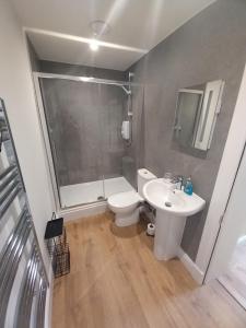 卡伦德Stunning Village Centre Holiday Home的浴室配有卫生间、淋浴和盥洗盆。