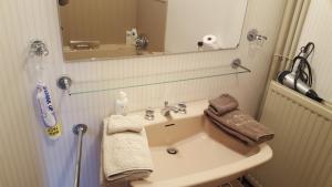 Resteigne雷斯特格莫林住宿加早餐旅馆的一间带水槽和镜子的浴室