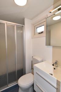比伦Chalet Zeester J38 Ameland的浴室配有卫生间、盥洗盆和淋浴。