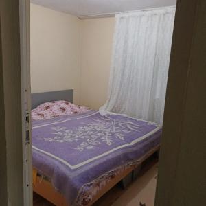 阿克恰阿巴德Hıdırnebi Yayla Evi的一间小卧室,配有一张带窗户的床