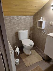 ManderfeldBaloe的一间带卫生间和水槽的小浴室