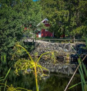 希恩Koselig hytte langs elven的池塘,池壁和房子的背景