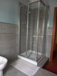 卢卡Casa Garibaldi的一间带卫生间的浴室内的玻璃淋浴间