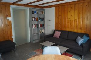 Flums斯切尔度假屋的带沙发和书架的客厅