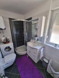 希贝尼克Drago Apartman的浴室配有盥洗盆、卫生间和淋浴。