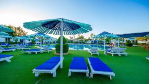 沙姆沙伊赫Ghazala Beach的一组蓝色椅子和遮阳伞,位于游泳池旁