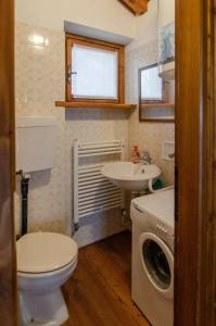 圣维托-迪卡多雷Estate in montagna的浴室配有卫生间、盥洗盆和洗衣机。