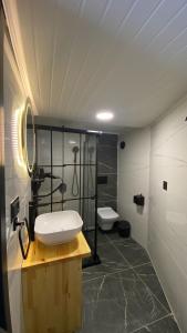 贾马里海姆森Kaledome Orman evleri的一间带水槽和淋浴的浴室
