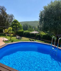 Alboreca阿尔伯瑞卡阳台酒店的院子里的大型蓝色游泳池
