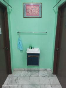 居林D' SHAM Homestay, Mslim Only的一间带水槽和绿色墙壁的浴室