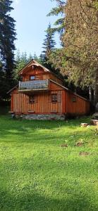 普拉夫Isov Ranch的绿草丛中的木屋