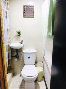 佩雷拉hostal la 18的一间带卫生间和水槽的浴室