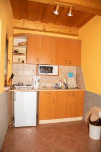 维尼Apartmány Alma的厨房配有白色冰箱和微波炉