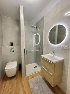 维勒班T2 Tête d’Or Confort + Parking gratuit的带淋浴、卫生间和盥洗盆的浴室